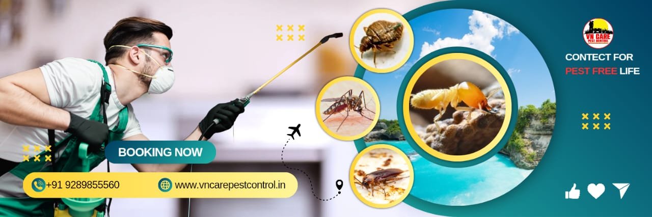 VN Care Pest Control - A Professional Pest Control in Delhi